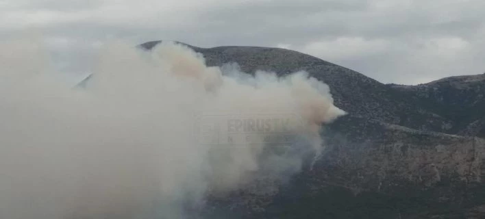 Ηπειρος: Επί ποδός η Πυροσβεστική – Ξέσπασαν πολλές φωτιές λόγω ανέμων (εικόνες)
